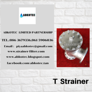 t strainer