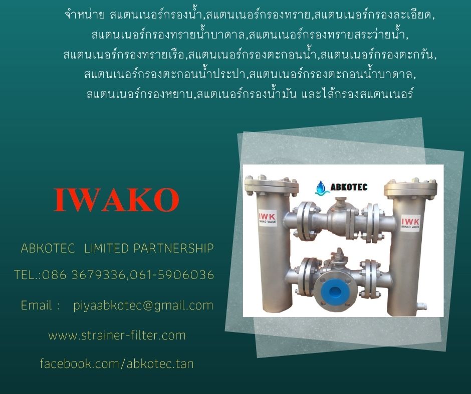 duplex strainer working principle