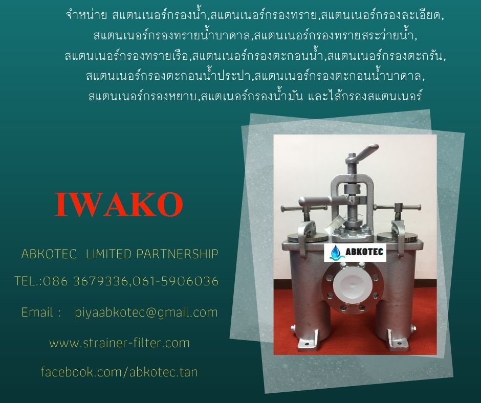 guide to duplex basket strainer