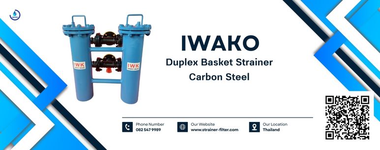 duplex basket strainer carbon steel