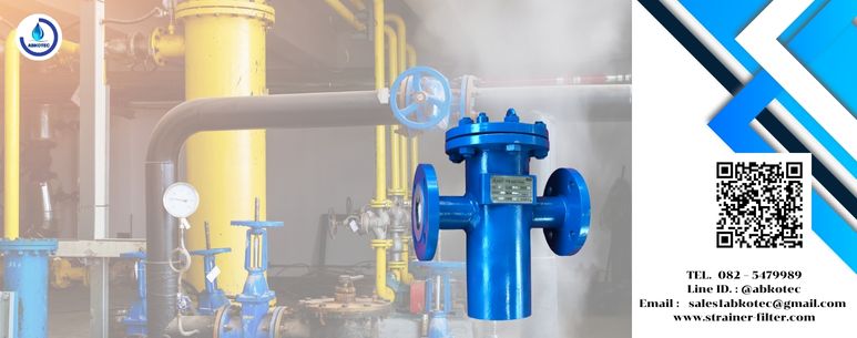 what is the purpose of a basket strainer in a steam boiler