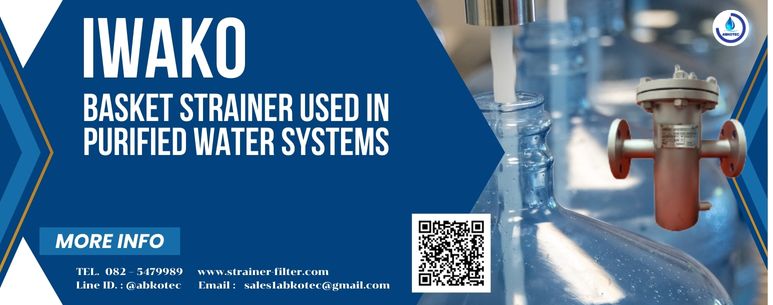basket strainer used in purified water systems